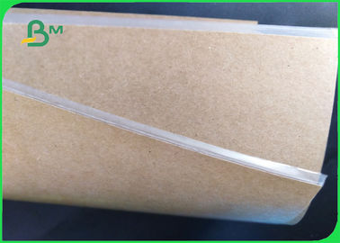 PE Coated Brown Kraft Paper Waterproof 50 - 500gsm For Takeaway Box