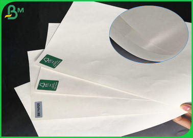 100gsm - 160gsm Glossy Coated Paper , Greaseproof One Side PE Coated Paper For Food Bag