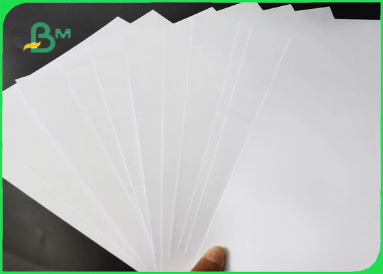 Good Ink Absorption ISO Certified Offset Paper Size Customized For Various Books