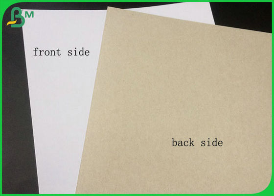 Coated Duplex Board White Side With Grey Back In Large Roll Packing