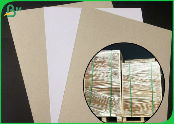 Coated Duplex Board White Side With Grey Back In Large Roll Packing