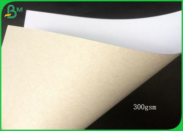 FSC Certified Coated Duplex Board White Side With Grey Back In Large Roll Packing