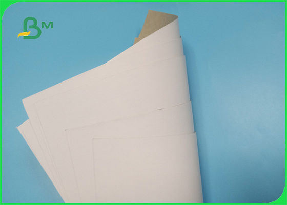 ISO Approved Coated Duplex Board 100% Waste Paper Pulp Weight 350g Couche White Back Gray Paper