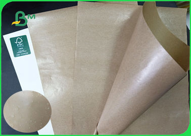 Weight 10gsm - 20 gsm FDA approved One side plastic coated kraft paper in rool