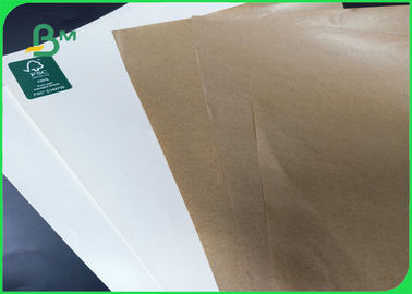 Weight 10gsm - 20 gsm FDA approved One side plastic coated kraft paper in rool