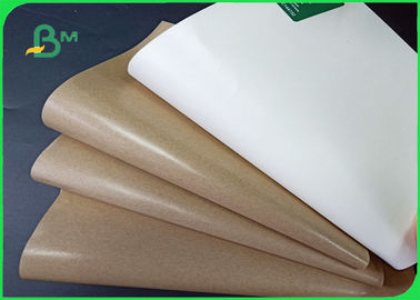 Weight 10gsm - 20 gsm FDA approved One side plastic coated kraft paper in rool