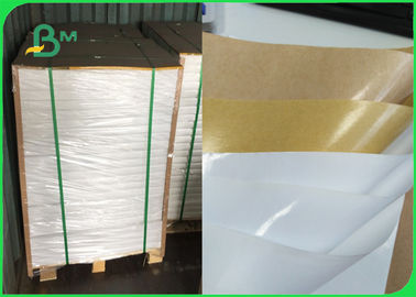 Food Grade 180gsm + 15gr PE Coated White Kraft Paper Coils