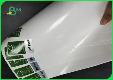 Thickness 30 - 350gsm PE Coated White Color Kraft Paper In Coils For Various Packing