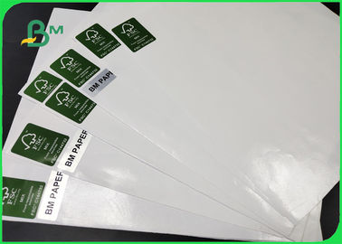 Thickness 30 - 350gsm PE Coated White Color Kraft Paper In Coils For Various Packing