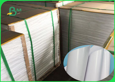 Food Grade PE Coated 50GSM Craft Paper White &amp; Brown No Harm To People