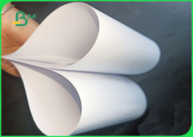 Good Ink Absorption 100% Waterproof 240gsm RC Photo Paper For Printing