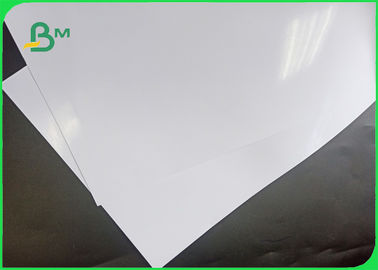 Good Ink Absorption 100% Waterproof 240gsm RC Photo Paper For Printing