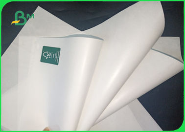 35 / 40gsm FSC Approved MG MF Food Grade White Kraft Paper In Roll