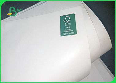 35 / 40gsm FSC Approved MG MF Food Grade White Kraft Paper In Roll