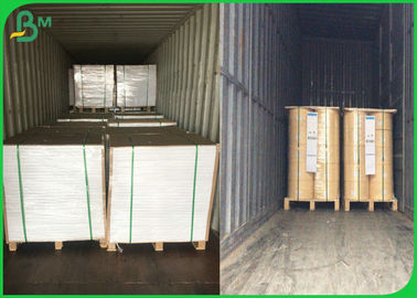 Greaseproof Food Grade 60gsm+10g PE Coated Paper For Food Packages