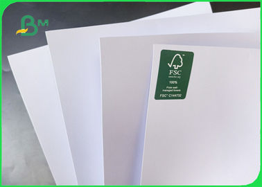 80 Grams Smooth Surface Wear Resistance Inkjet Plotter Paper In Roll