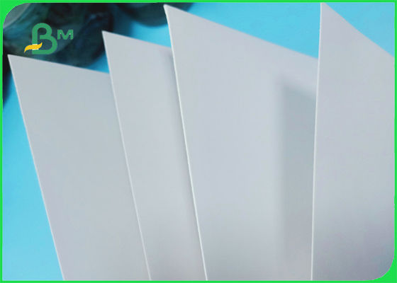 250 / 300gsm ISO Certified Good Printing Glossy Folding Box Board In Roll