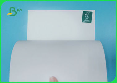 250 / 300gsm FSC Certified Good Printing Glossy Folding Box Board In Roll