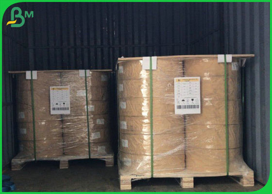 50gsm - 300gsm FDA Food Grade PE Coated Paper For Packing Food