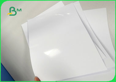 140 - 300gsm Ink Absorption High Speed Printing Mirror Surface Cast Coated Paper In Roll