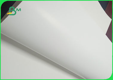 Good Bulk Thickness 250gsm 270gsm 300gsm C1S Ivory Board Paper Fold In Roll