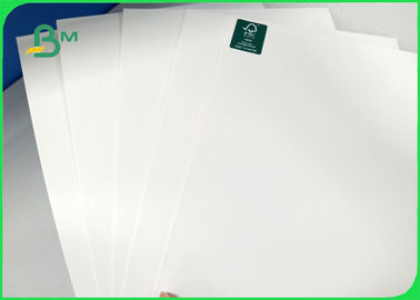 FSC Certified Good Bulk Thickness 250gsm 270gsm 300gsm C1S Ivory Board Paper Fold In Roll