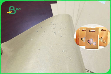 300gsm 350gsm PE Coated Paper Sheet Single or Double Side for Plate FSC FDA