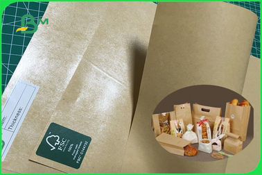 300gsm 350gsm PE Coated Paper Sheet Single or Double Side for Plate FSC FDA