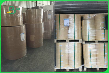 300gsm 350gsm PE Coated Paper Sheet Single or Double Side for Plate FSC FDA