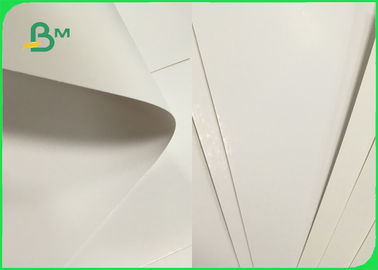 250gsm 270gsm 300gsm White C1S Ivory Board Fold One Side Coated FSC Certified