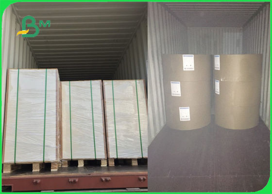 250gsm 270gsm 300gsm White C1S Ivory Board Fold One Side Coated