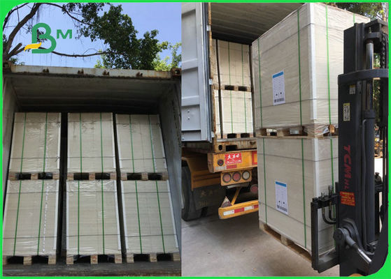 One Side Coated FBB C1S Art Board For Package And Printing 210gsm To 350gsm
