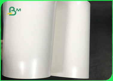 High Thickness 15g PE Coating 300gsm 320gsm 350gsm Ivory Board For Packing Food