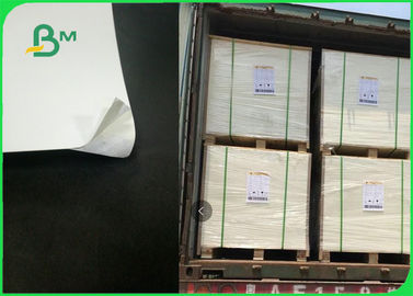 High Bulk Ecofriendly GC1 FBB Ivory Board Paper For Box Packing 250gsm - 300gsm