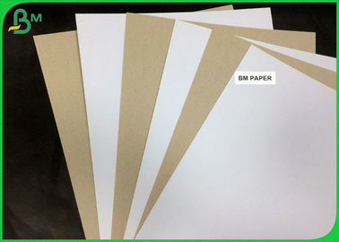 300GSM 350GSM One Side Coated Duplex Board White Back Sheet For Normal Package