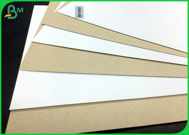 300GSM 350GSM One Side Coated Duplex Board White Back Sheet For Normal Package