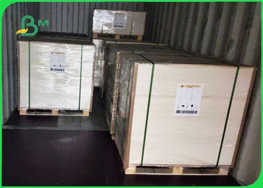 80gsm 90gsm White Craft Paper 100% Safe Can Print In Rolls For Flour Bag