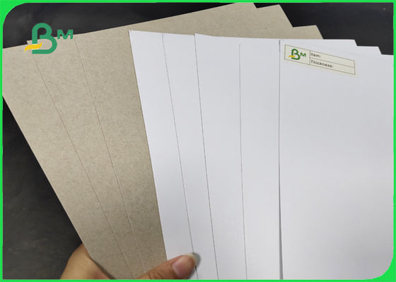 200 / 230gr C1S With Grey Back Grade AA Width 1250mm With SGS Certified