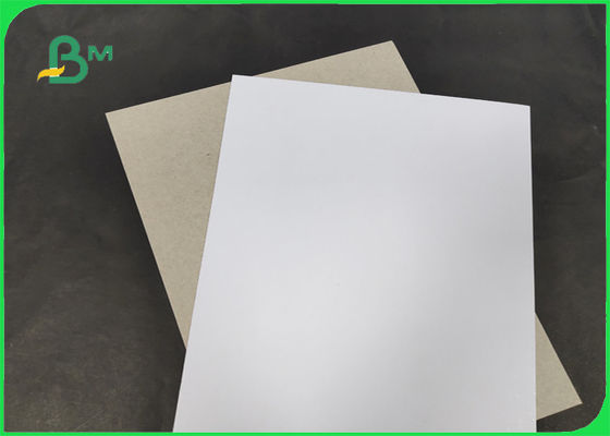 200 / 230gr C1S With Grey Back Grade AA Width 1250mm With SGS Certified