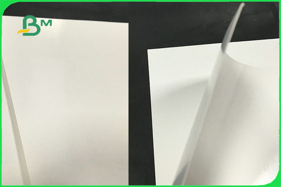 FDA 300gsm Ivory One Side Coated White Board PE GC1 Paper For Paper Bowl