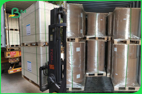 FDA 300gsm Ivory One Side Coated White Board PE GC1 Paper For Paper Bowl