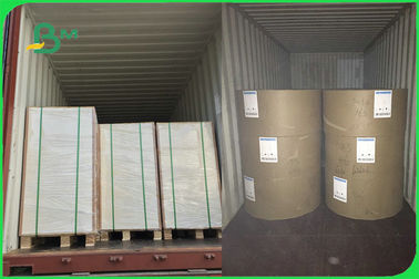 FDA White Food Safe FBB Board 15g PE Coated Paper For Cup Making Custom