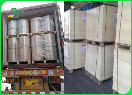 FDA Certified Food Safe Heat Resistant Baking Paper For Grill Cooking BBQ