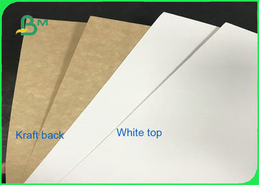 Virgin Pulp 300gsm 365gsm White Top Kraft Liner For Packing Food