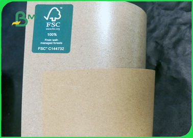 160g+10g Food Grade PE Environmentally Friendly Kraft Paper For Food Bag