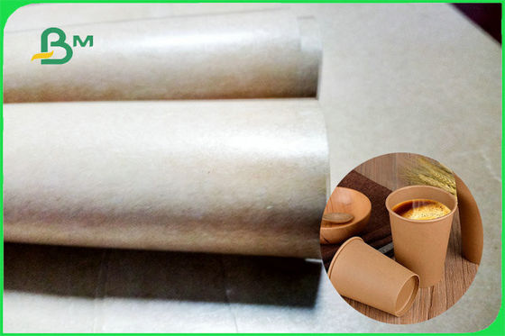 FDA Single PE Coated Brown Kraft Paper Smooth And Glossy For Coffee Cups
