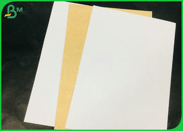 325gsm 360gsm 31 x 43inches Virgin Pulp Coated Kraft Paper Board For Lunch Box