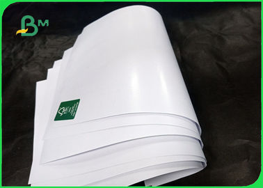 125gsm FBB Board With 15gsm Food Grade PE Film Paper Sheet For Packing Box