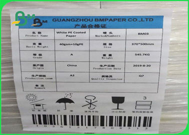 FDA &amp; SGS 300g Approved PE Coated Paper White FBB Board For Paper Plates