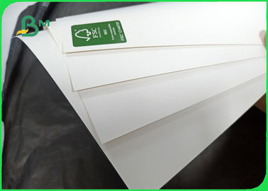 230 - 400gsm SBS &amp; FBB Cardboard For Invisible Sock Packaging Size 90×100cm